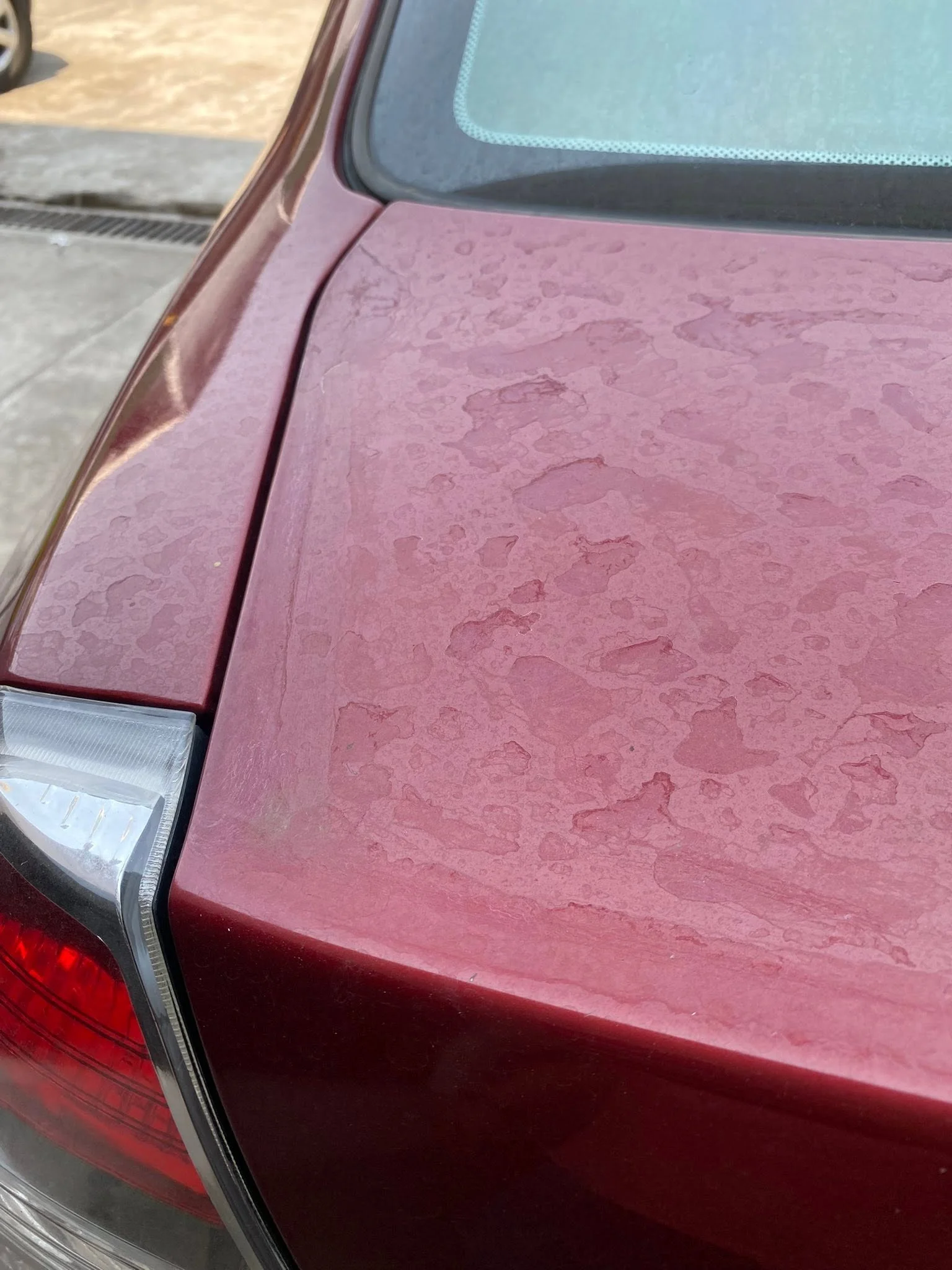 Pulido previo a ceramic coating en Tepic