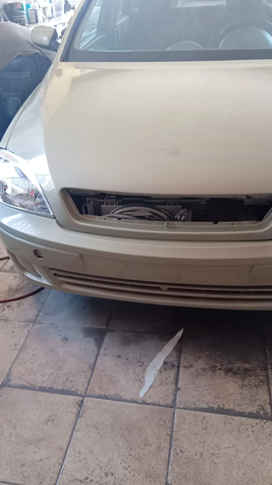 Pintura y encerado premium