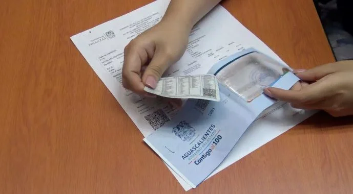 Reposición de tarjeta de circulación en Aguascalientes